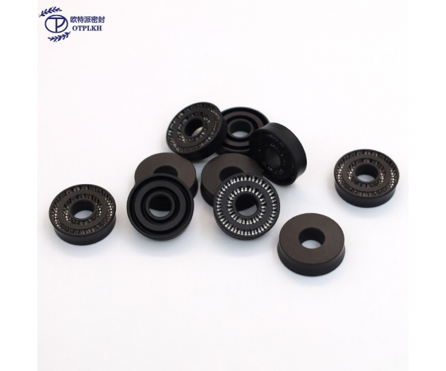 Spring seal ring for Shaft Modified PTFE seals double spring groove seals v-springs Non-standard shaped parts factory customized OTPLKH